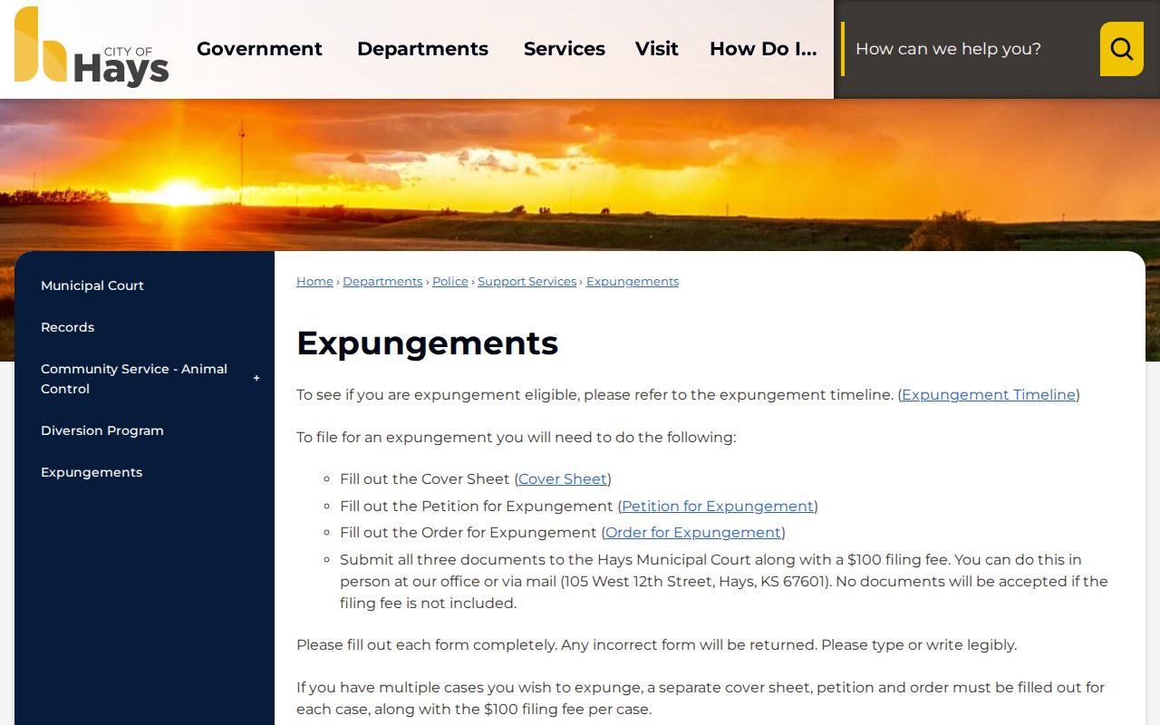 Hays court records municipal expungement filing instructions